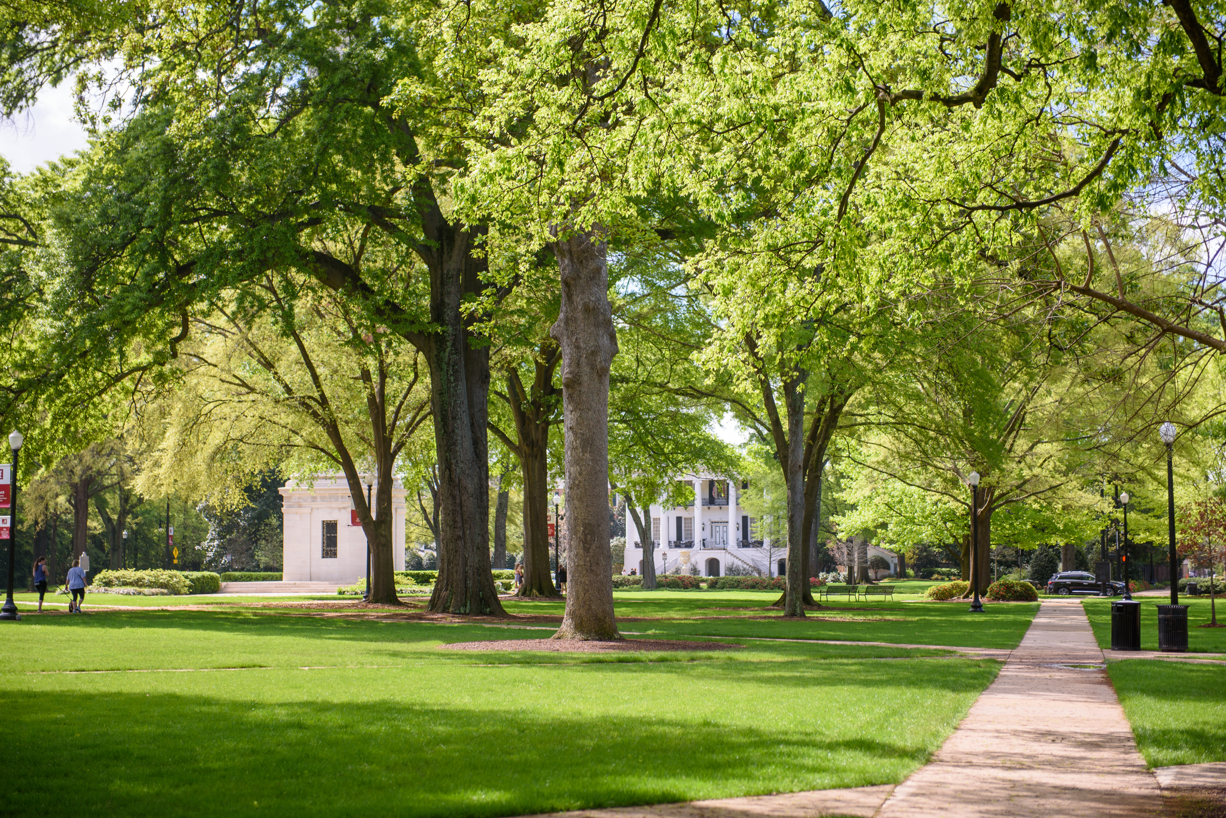 Campus Photo of UA Quad Trees