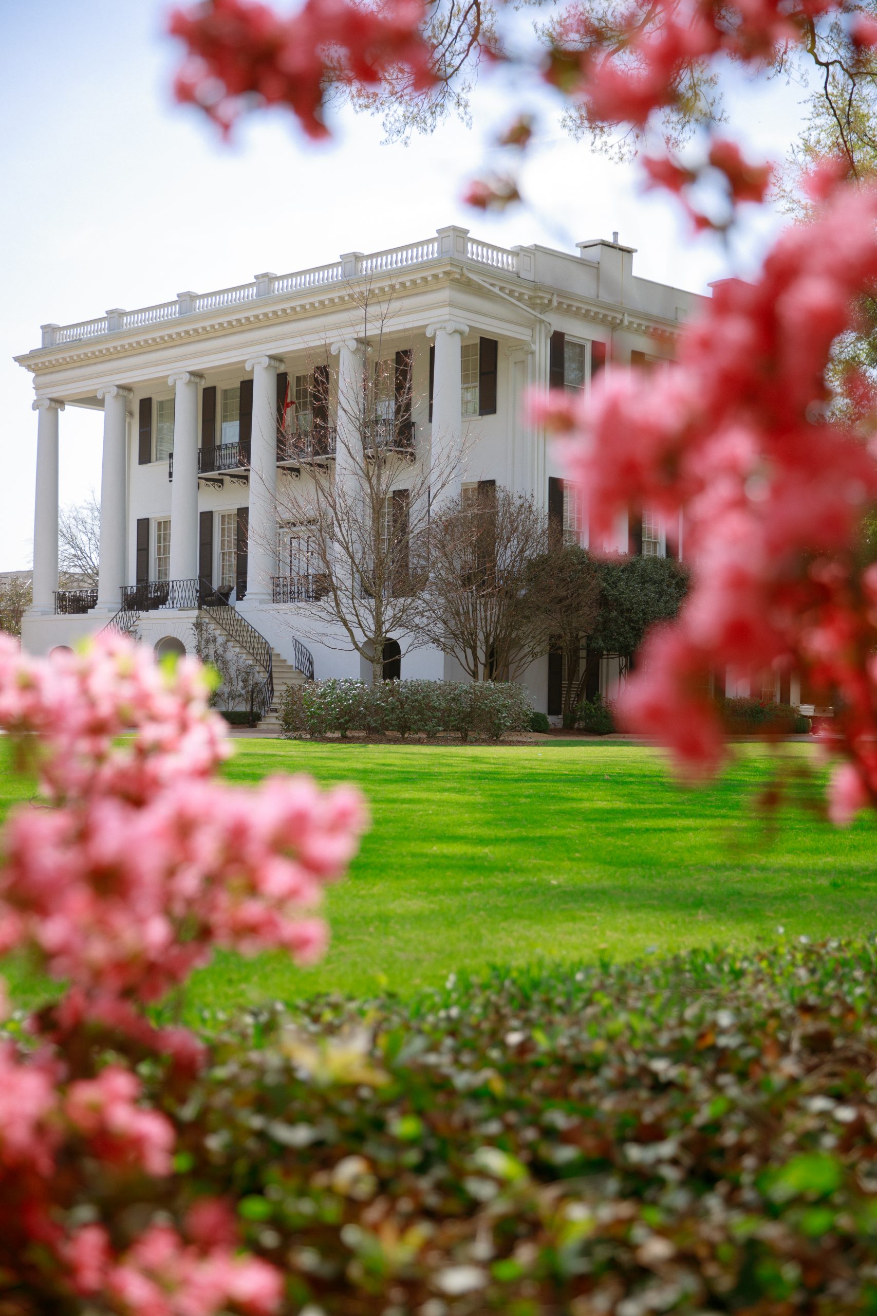 presidents mansion with spring flowers