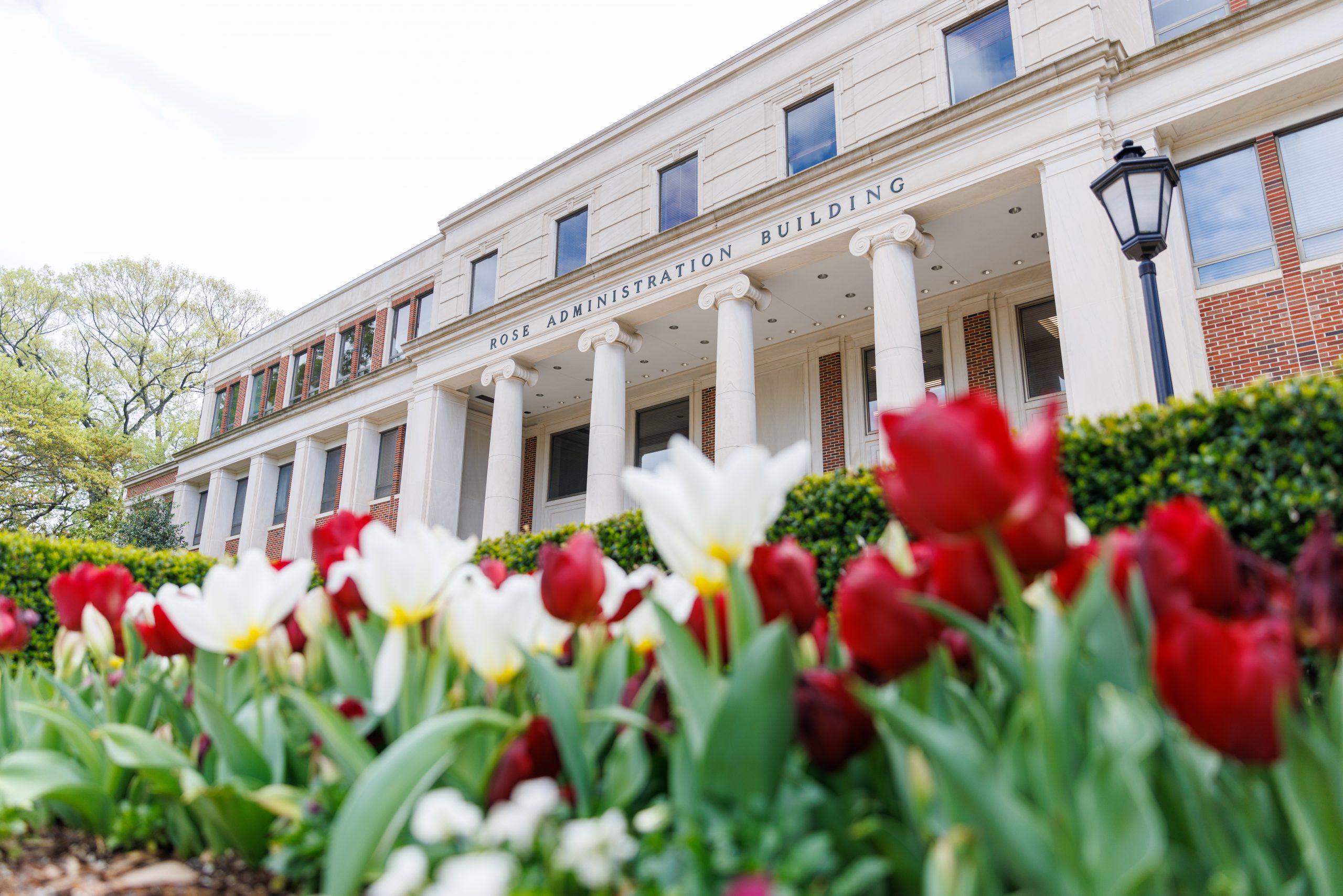 rose administration surrounded by flowers