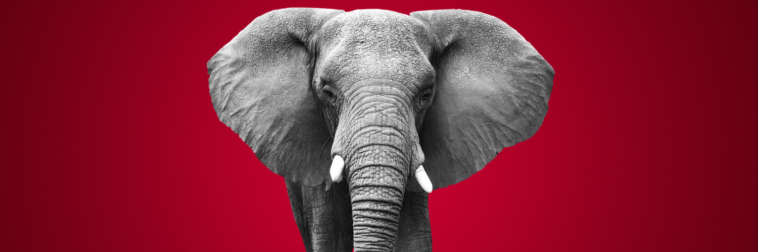 Open Enrollment Web Header with Elephant