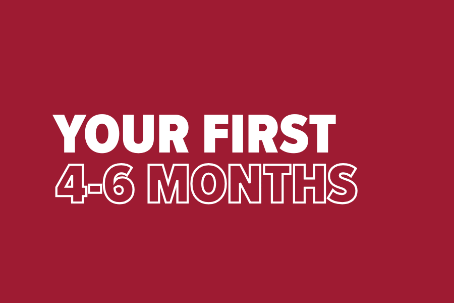 Your First 4-6 Months